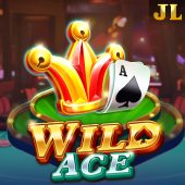 Wild Ace card slot